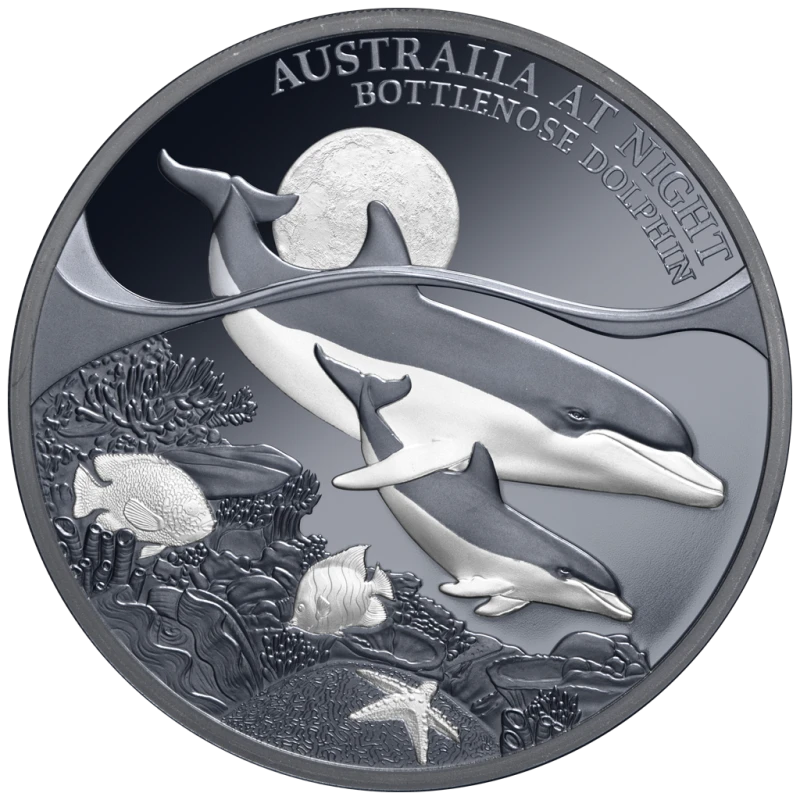 Niue: moneda de plata Bottlenose Dolphin 2025 Proof 1 oz Monedas coleccionables