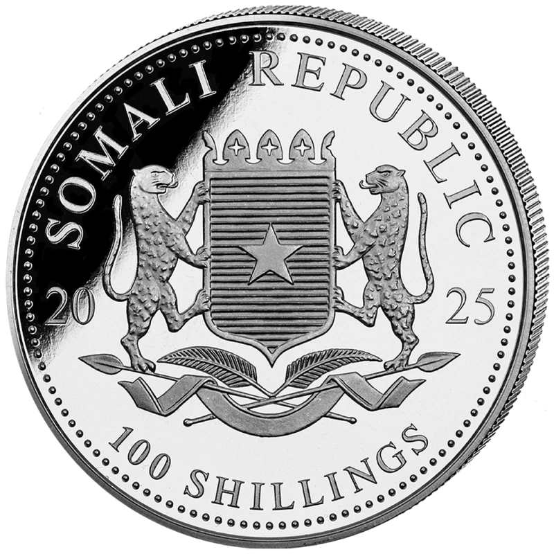 Somalia Moneda de Plata Fauna Africana Leopardo 2025 Dorado 1 oz Monedas coleccionables