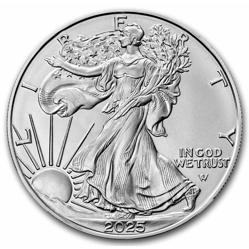 USA Silver Bullion Coin American Eagle Type 2 1 oz Monedas de inversión