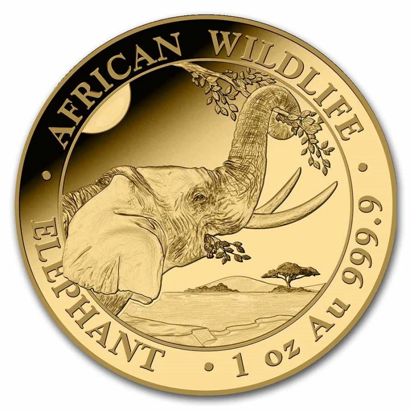 Somalia: gold coin Elephant 2023 1 oz Collectible coins