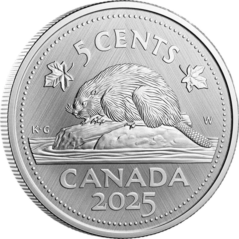 Canada: silver coin Beaver 2025 1 oz Collectible coins