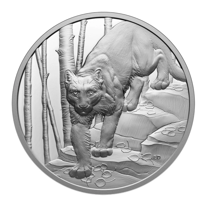 Canadá: moneda de plata Cougar 2024 Proof 1 oz Monedas coleccionables