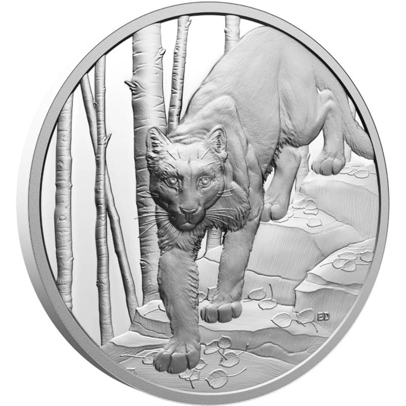 Canadá: moneda de plata Cougar 2024 Proof 1 oz Monedas coleccionables
