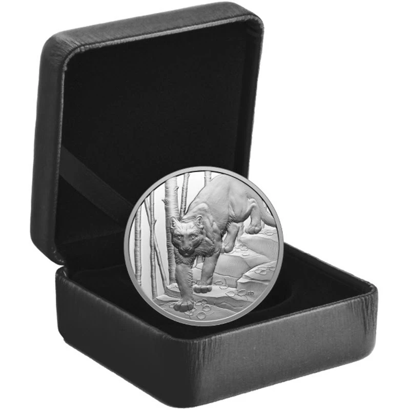 Canadá: moneda de plata Cougar 2024 Proof 1 oz Monedas coleccionables