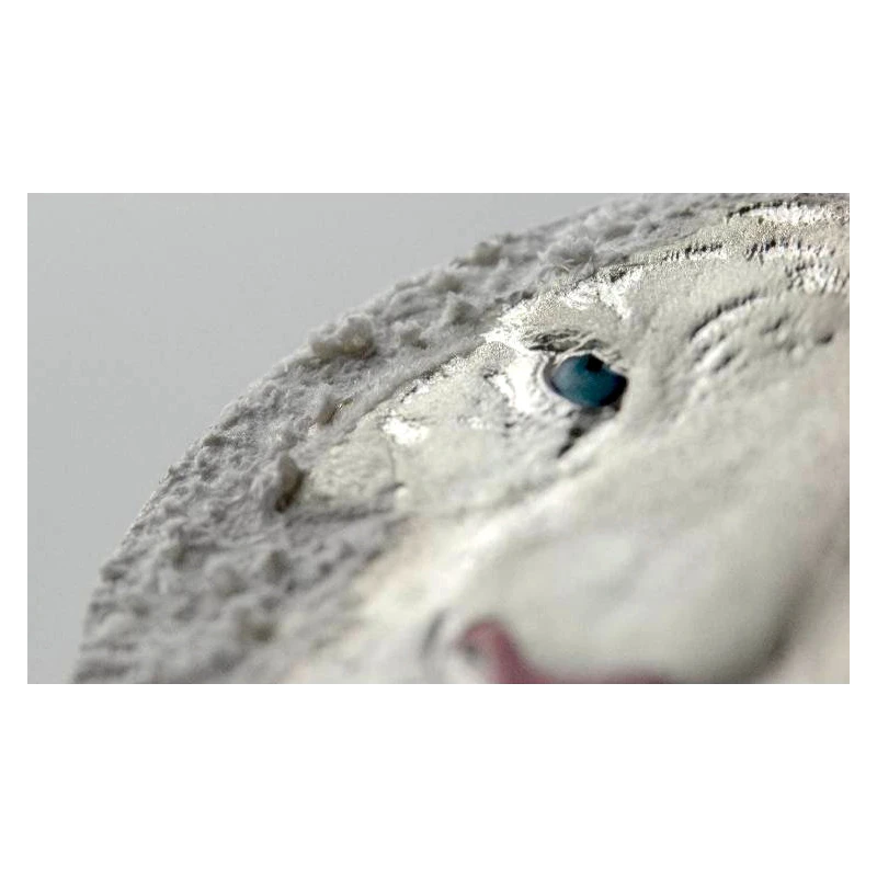 Niue: moneda de plata Tigre Blanco 2022 3 onzas Monedas coleccionables