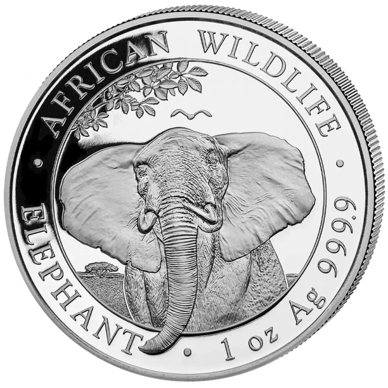 Somalia Moneda de plata en lingotes Vida Silvestre Africana Elefante 2021 1 oz Monedas de inversión