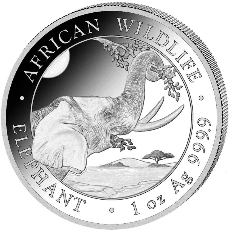 Somalia Moneda de plata en lingotes Vida Silvestre Africana Elefante 2023 1 oz Monedas de inversión