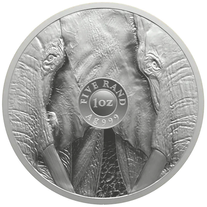 South Africa Silver Coin Elephant 2024 1 oz Collectible coins