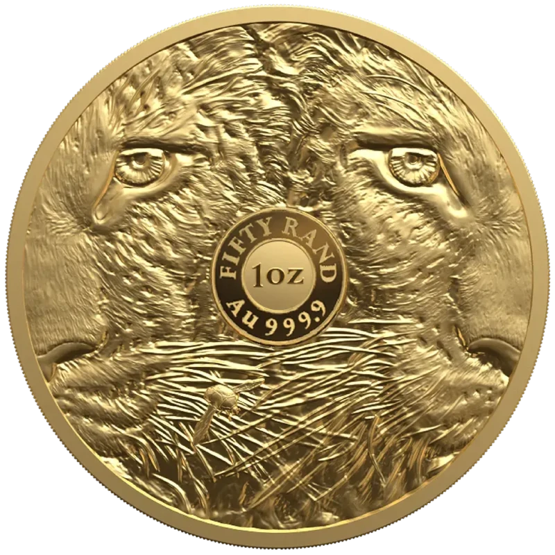 Sudáfrica Moneda de Oro Big Five III Leopardo 2026 Proof 1 oz Monedas coleccionables