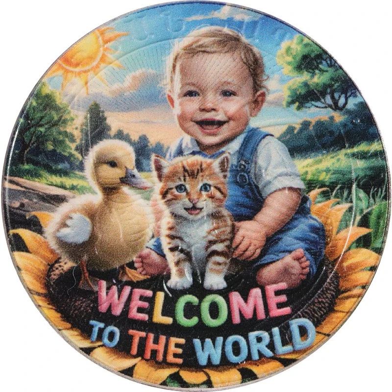 Moneda de Plata de Armenia Arca de Noé Niño 2025 Coloreada 1 onza Monedas coleccionables